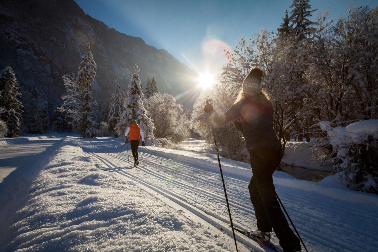 Chalet Happy Family, Secluded Location, 15 Min To Salzburg And Just Short To T Lakes Sound Of Music, Bbq&Bikes&Sunbeds For Free, Up To 14P Golling an der Salzach Extérieur photo